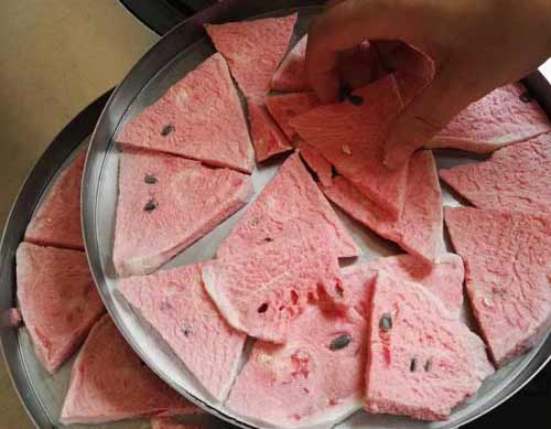 凍干西瓜 凍干西瓜