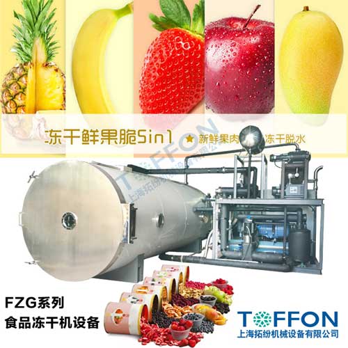 果蔬凍干機 果蔬凍干機