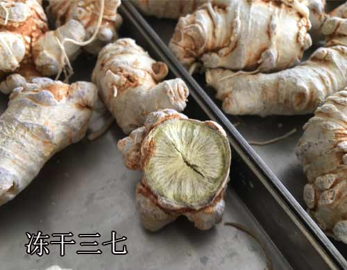 凍干三七 凍干三七