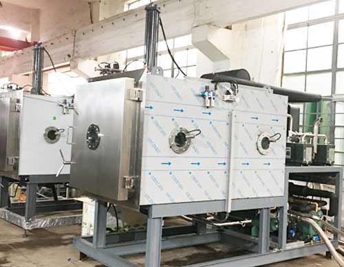 3平方凍干機 3平方凍干機