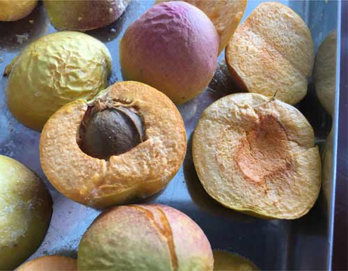 凍干杏干 凍干杏干