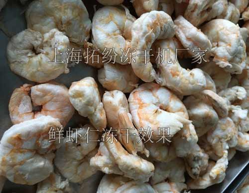 鮮蝦仁凍干 鮮蝦仁凍干
