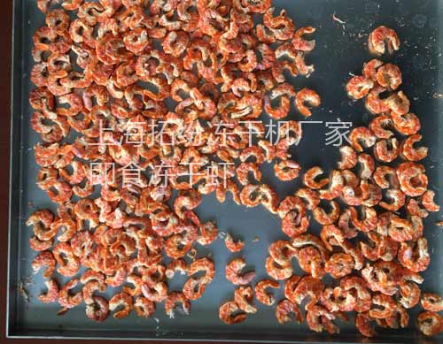 即食凍干蝦干 即食凍干蝦干