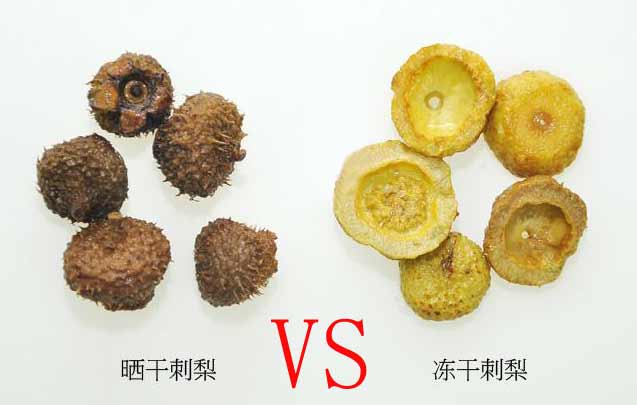 刺梨凍干 刺梨凍干