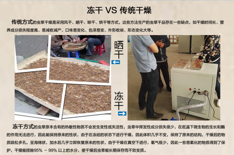 16183879819244.jpg chongcao-HFD_03.jpg