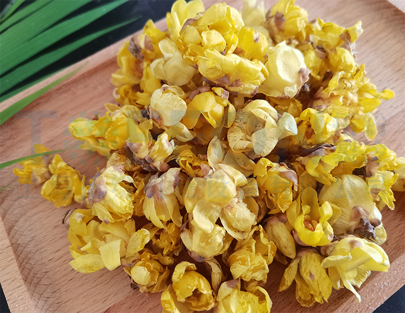 臘梅花凍干，食品凍干機應用于臘梅花凍干案例