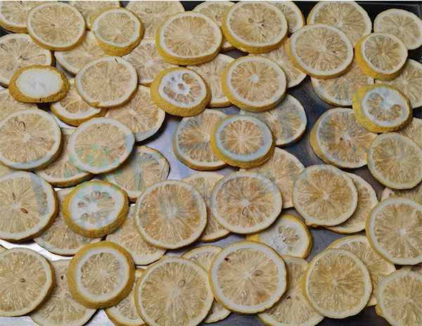 冷凍干燥機(jī)|凍干機(jī)|真空冷凍干燥機(jī)|大型冷凍干燥機(jī)|食品凍干機(jī)|制藥真空冷凍干燥機(jī)|食品凍干設(shè)備|制藥冷凍干燥機(jī)