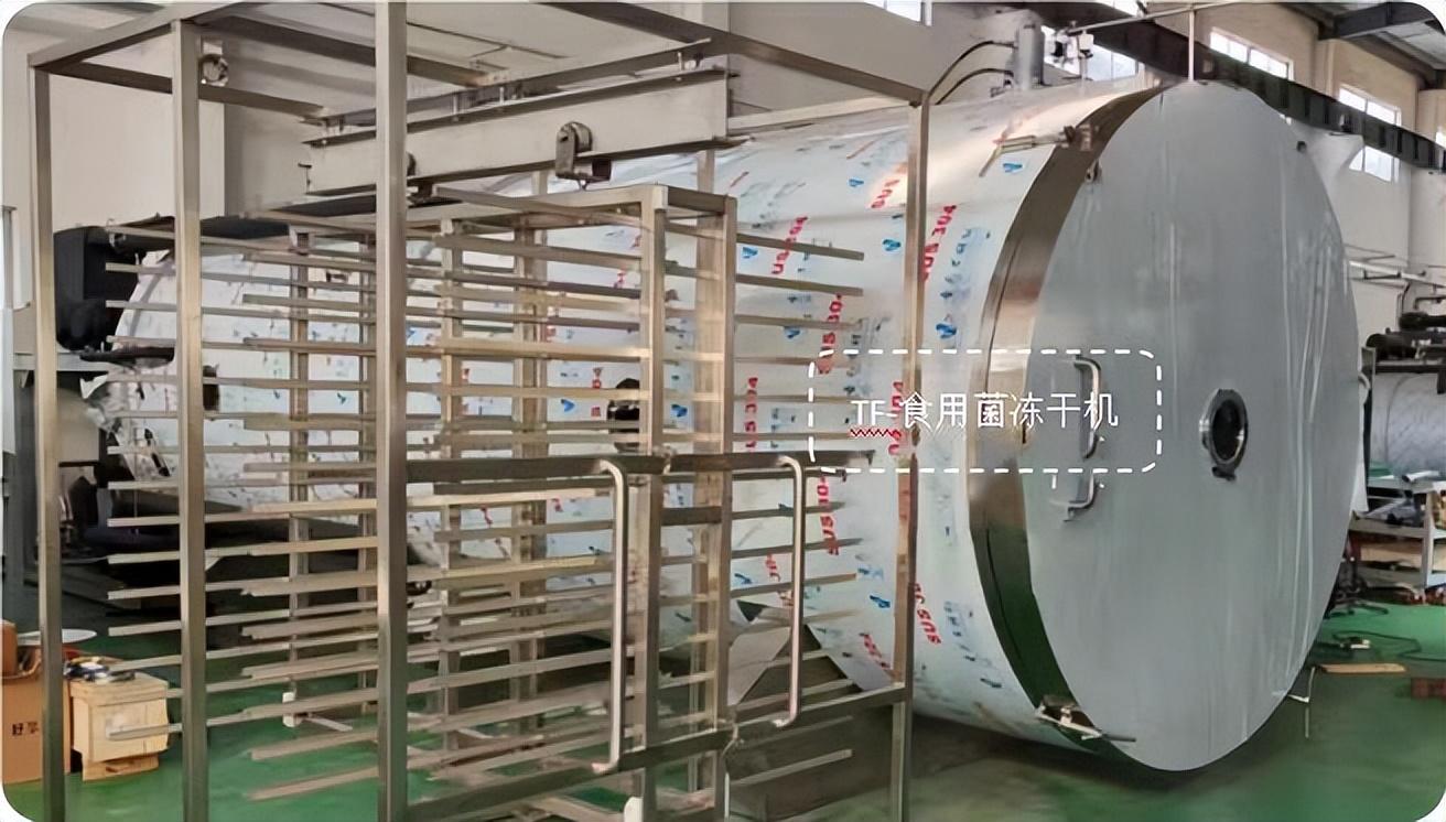冷凍干燥機(jī)|凍干機(jī)|真空冷凍干燥機(jī)|大型冷凍干燥機(jī)|食品凍干機(jī)|制藥真空冷凍干燥機(jī)|食品凍干設(shè)備|制藥冷凍干燥機(jī)