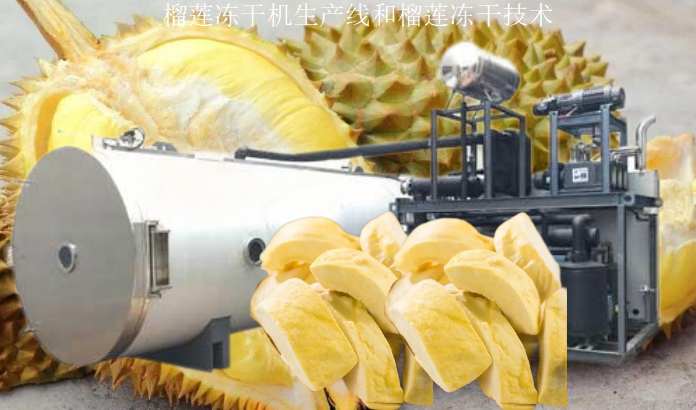 冷凍干燥機(jī)|凍干機(jī)|真空冷凍干燥機(jī)|大型冷凍干燥機(jī)|食品凍干機(jī)|制藥真空冷凍干燥機(jī)|食品凍干設(shè)備|制藥冷凍干燥機(jī)