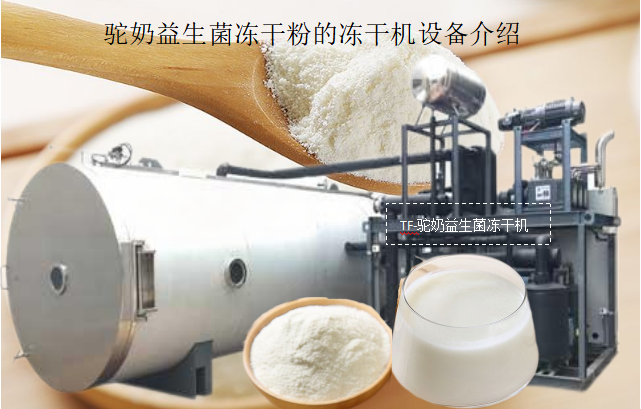 冷凍干燥機|凍干機|真空冷凍干燥機|大型冷凍干燥機|食品凍干機|制藥真空冷凍干燥機|食品凍干設(shè)備|制藥冷凍干燥機