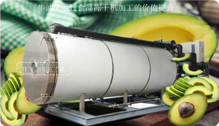 冷凍干燥機|凍干機|真空冷凍干燥機|大型冷凍干燥機|食品凍干機|制藥真空冷凍干燥機|食品凍干設(shè)備|制藥冷凍干燥機