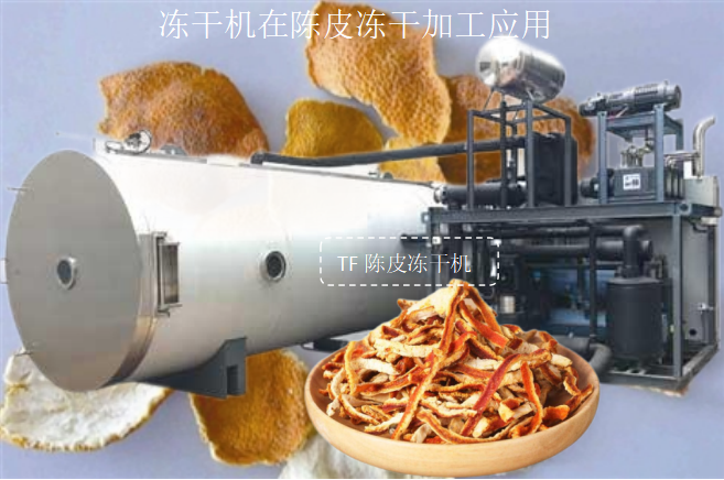 冷凍干燥機(jī)|凍干機(jī)|真空冷凍干燥機(jī)|大型冷凍干燥機(jī)|食品凍干機(jī)|制藥真空冷凍干燥機(jī)|食品凍干設(shè)備|制藥冷凍干燥機(jī)