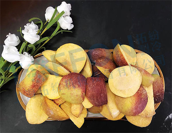 冷凍干燥機|凍干機|真空冷凍干燥機|大型冷凍干燥機|食品凍干機|制藥真空冷凍干燥機|食品凍干設(shè)備|制藥冷凍干燥機