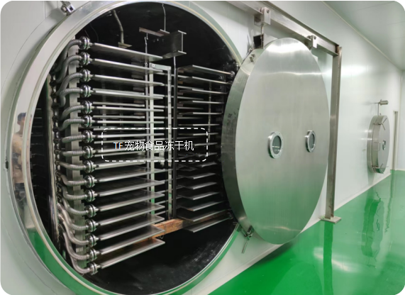 冷凍干燥機|凍干機|真空冷凍干燥機|大型冷凍干燥機|食品凍干機|制藥真空冷凍干燥機|食品凍干設(shè)備|制藥冷凍干燥機