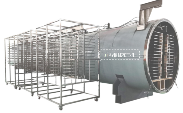 冷凍干燥機|凍干機|真空冷凍干燥機|大型冷凍干燥機|食品凍干機|制藥真空冷凍干燥機|食品凍干設(shè)備|制藥冷凍干燥機