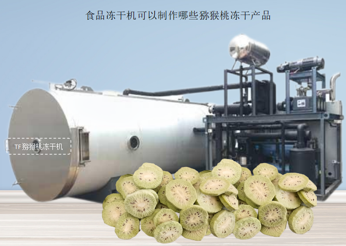 冷凍干燥機|凍干機|真空冷凍干燥機|大型冷凍干燥機|食品凍干機|制藥真空冷凍干燥機|食品凍干設(shè)備|制藥冷凍干燥機