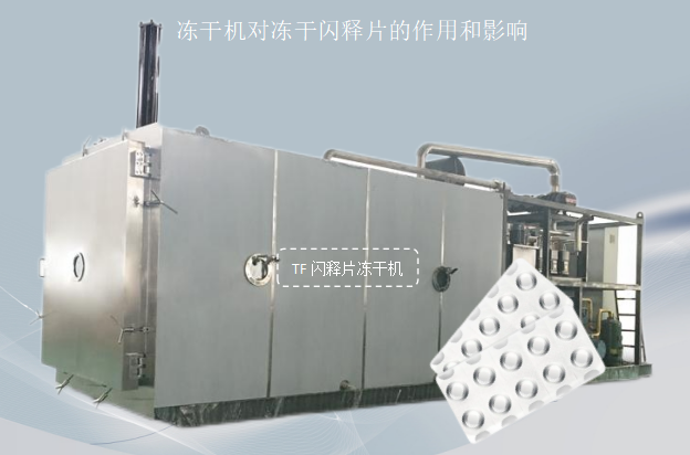 冷凍干燥機(jī)|凍干機(jī)|真空冷凍干燥機(jī)|大型冷凍干燥機(jī)|食品凍干機(jī)|制藥真空冷凍干燥機(jī)|食品凍干設(shè)備|制藥冷凍干燥機(jī)