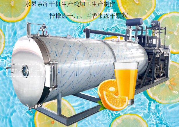 冷凍干燥機(jī)|凍干機(jī)|真空冷凍干燥機(jī)|大型冷凍干燥機(jī)|食品凍干機(jī)|制藥真空冷凍干燥機(jī)|食品凍干設(shè)備|制藥冷凍干燥機(jī)