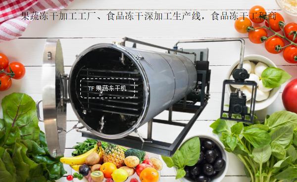 冷凍干燥機|凍干機|真空冷凍干燥機|大型冷凍干燥機|食品凍干機|制藥真空冷凍干燥機|食品凍干設(shè)備|制藥冷凍干燥機