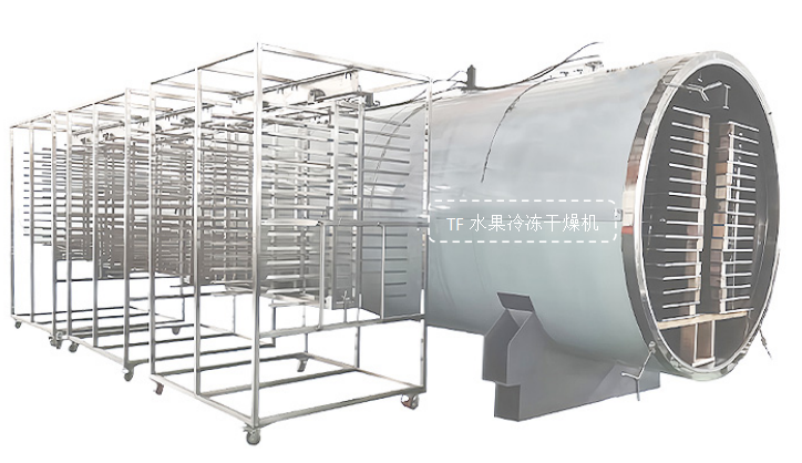 冷凍干燥機|凍干機|真空冷凍干燥機|大型冷凍干燥機|食品凍干機|制藥真空冷凍干燥機|食品凍干設(shè)備|制藥冷凍干燥機