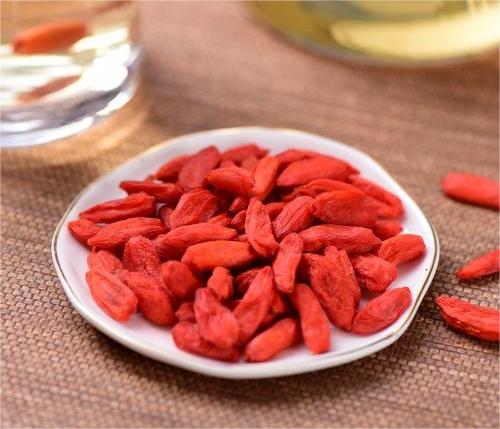 枸杞凍干，食品真空冷凍干燥機應用于枸杞凍干