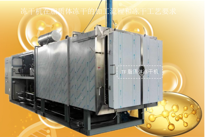 冷凍干燥機|凍干機|真空冷凍干燥機|大型冷凍干燥機|食品凍干機|制藥真空冷凍干燥機|食品凍干設(shè)備|制藥冷凍干燥機