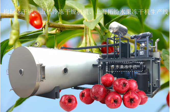 冷凍干燥機|凍干機|真空冷凍干燥機|大型冷凍干燥機|食品凍干機|制藥真空冷凍干燥機|食品凍干設(shè)備|制藥冷凍干燥機