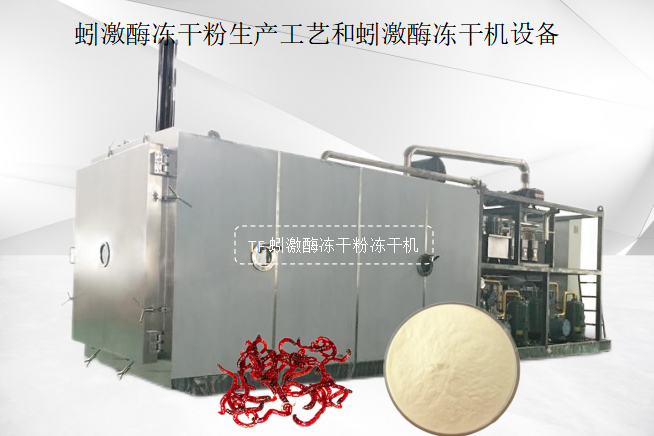 冷凍干燥機|凍干機|真空冷凍干燥機|大型冷凍干燥機|食品凍干機|制藥真空冷凍干燥機|食品凍干設(shè)備|制藥冷凍干燥機