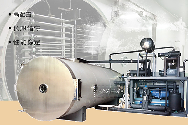 冷凍干燥機(jī)|凍干機(jī)|真空冷凍干燥機(jī)|大型冷凍干燥機(jī)|食品凍干機(jī)|制藥真空冷凍干燥機(jī)|食品凍干設(shè)備|制藥冷凍干燥機(jī)