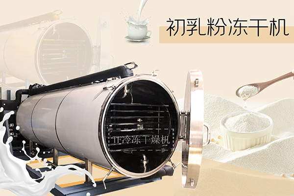 冷凍干燥機(jī)|凍干機(jī)|真空冷凍干燥機(jī)|大型冷凍干燥機(jī)|食品凍干機(jī)|制藥真空冷凍干燥機(jī)|食品凍干設(shè)備|制藥冷凍干燥機(jī)