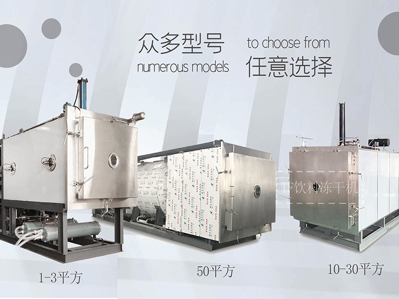 冷凍干燥機(jī)|凍干機(jī)|真空冷凍干燥機(jī)|大型冷凍干燥機(jī)|食品凍干機(jī)|制藥真空冷凍干燥機(jī)|食品凍干設(shè)備|制藥冷凍干燥機(jī)