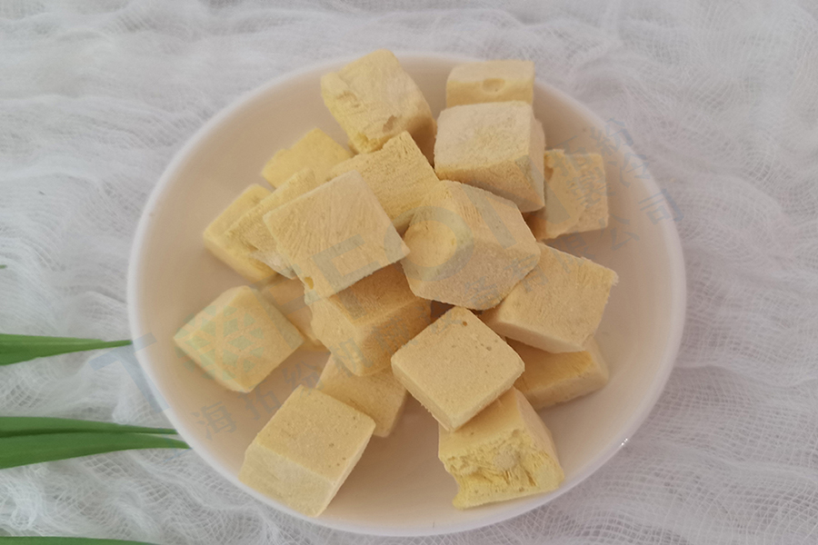 芒果酸奶塊凍干：食品冷凍干燥機在水果酸奶塊凍干加工優(yōu)勢