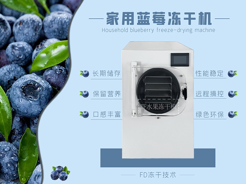 冷凍干燥機|凍干機|真空冷凍干燥機|大型冷凍干燥機|食品凍干機|制藥真空冷凍干燥機|食品凍干設備|制藥冷凍干燥機