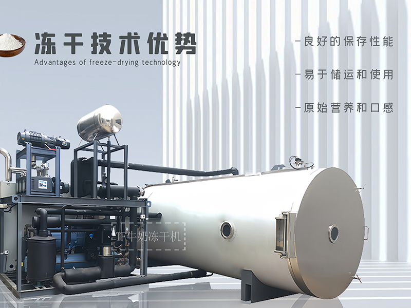 冷凍干燥機(jī)|凍干機(jī)|真空冷凍干燥機(jī)|大型冷凍干燥機(jī)|食品凍干機(jī)|制藥真空冷凍干燥機(jī)|食品凍干設(shè)備|制藥冷凍干燥機(jī)