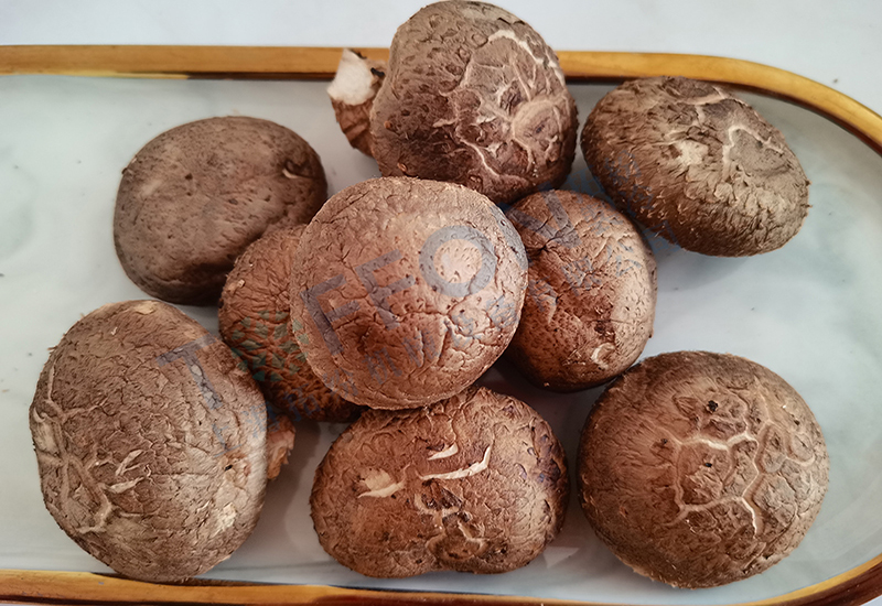 香菇凍干：食用菌凍干技術介紹及應用