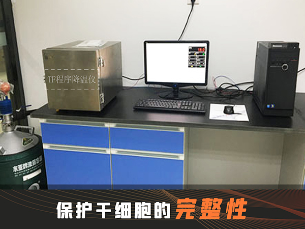 冷凍干燥機(jī)|凍干機(jī)|真空冷凍干燥機(jī)|大型冷凍干燥機(jī)|食品凍干機(jī)|制藥真空冷凍干燥機(jī)|食品凍干設(shè)備|制藥冷凍干燥機(jī)