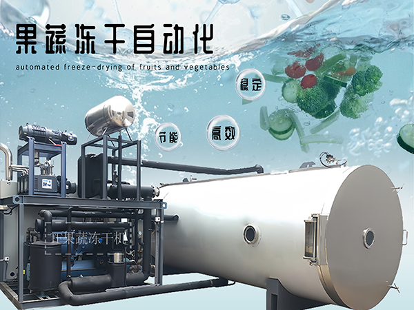 冷凍干燥機(jī)|凍干機(jī)|真空冷凍干燥機(jī)|大型冷凍干燥機(jī)|食品凍干機(jī)|制藥真空冷凍干燥機(jī)|食品凍干設(shè)備|制藥冷凍干燥機(jī)