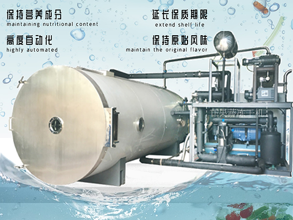 冷凍干燥機(jī)|凍干機(jī)|真空冷凍干燥機(jī)|大型冷凍干燥機(jī)|食品凍干機(jī)|制藥真空冷凍干燥機(jī)|食品凍干設(shè)備|制藥冷凍干燥機(jī)