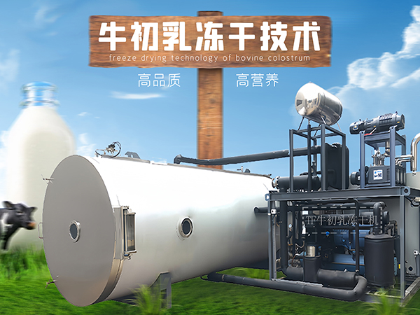 冷凍干燥機(jī)|凍干機(jī)|真空冷凍干燥機(jī)|大型冷凍干燥機(jī)|食品凍干機(jī)|制藥真空冷凍干燥機(jī)|食品凍干設(shè)備|制藥冷凍干燥機(jī)