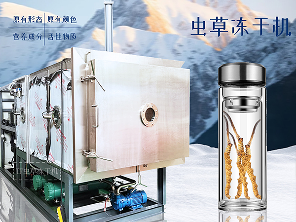 冷凍干燥機|凍干機|真空冷凍干燥機|大型冷凍干燥機|食品凍干機|制藥真空冷凍干燥機|食品凍干設(shè)備|制藥冷凍干燥機