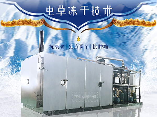 冷凍干燥機|凍干機|真空冷凍干燥機|大型冷凍干燥機|食品凍干機|制藥真空冷凍干燥機|食品凍干設(shè)備|制藥冷凍干燥機