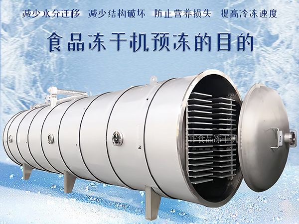 冷凍干燥機|凍干機|真空冷凍干燥機|大型冷凍干燥機|食品凍干機|制藥真空冷凍干燥機|食品凍干設備|制藥冷凍干燥機