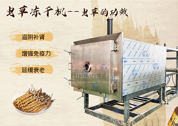 冷凍干燥機(jī)|凍干機(jī)|真空冷凍干燥機(jī)|大型冷凍干燥機(jī)|食品凍干機(jī)|制藥真空冷凍干燥機(jī)|食品凍干設(shè)備|制藥冷凍干燥機(jī) 冷凍干燥機(jī)|凍干機(jī)|真空冷凍干燥機(jī)|大型冷凍干燥機(jī)|食品凍干機(jī)|制藥真空冷凍干燥機(jī)|食品凍干設(shè)備|制藥冷凍干燥機(jī)