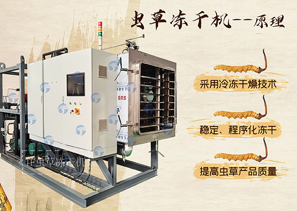 冷凍干燥機(jī)|凍干機(jī)|真空冷凍干燥機(jī)|大型冷凍干燥機(jī)|食品凍干機(jī)|制藥真空冷凍干燥機(jī)|食品凍干設(shè)備|制藥冷凍干燥機(jī) 冷凍干燥機(jī)|凍干機(jī)|真空冷凍干燥機(jī)|大型冷凍干燥機(jī)|食品凍干機(jī)|制藥真空冷凍干燥機(jī)|食品凍干設(shè)備|制藥冷凍干燥機(jī)