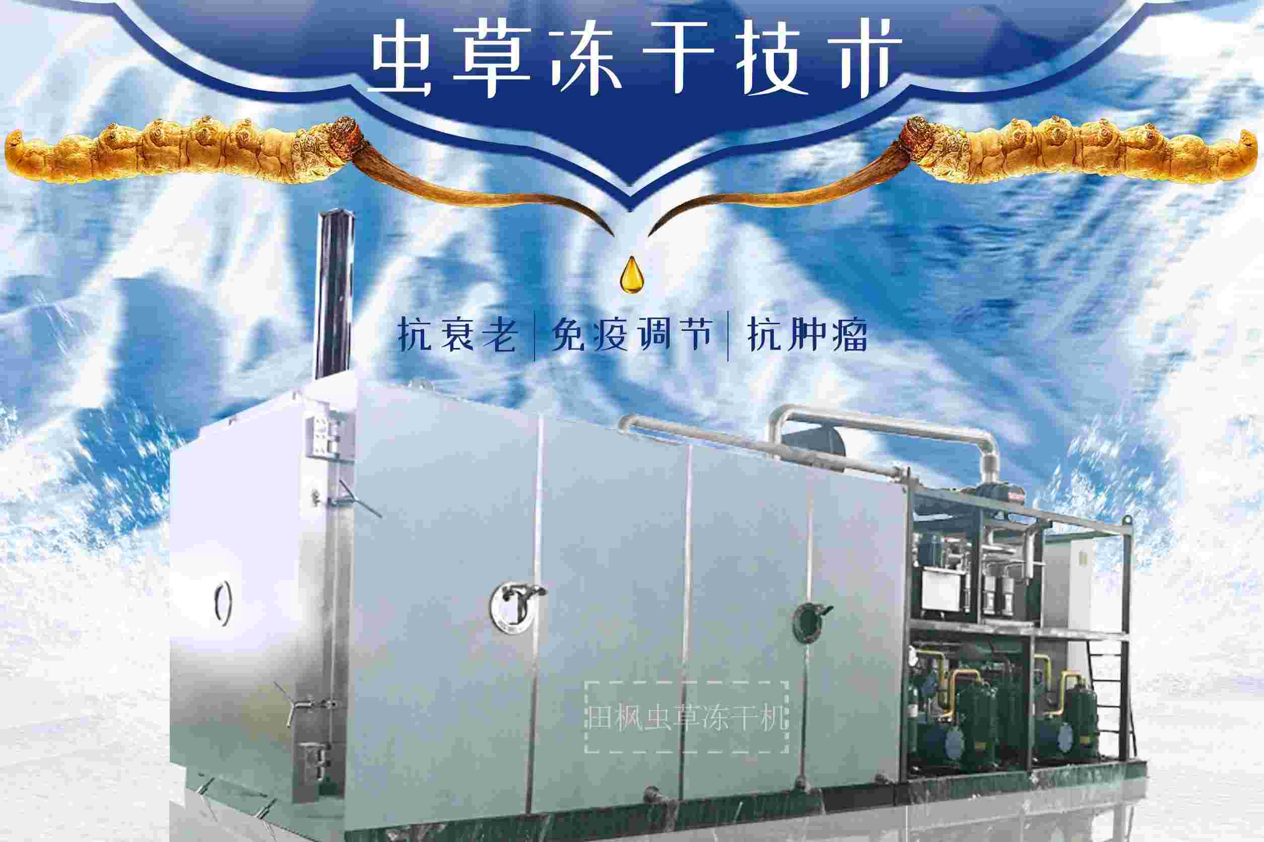 17213500111070.jpg 蟲1.jpg