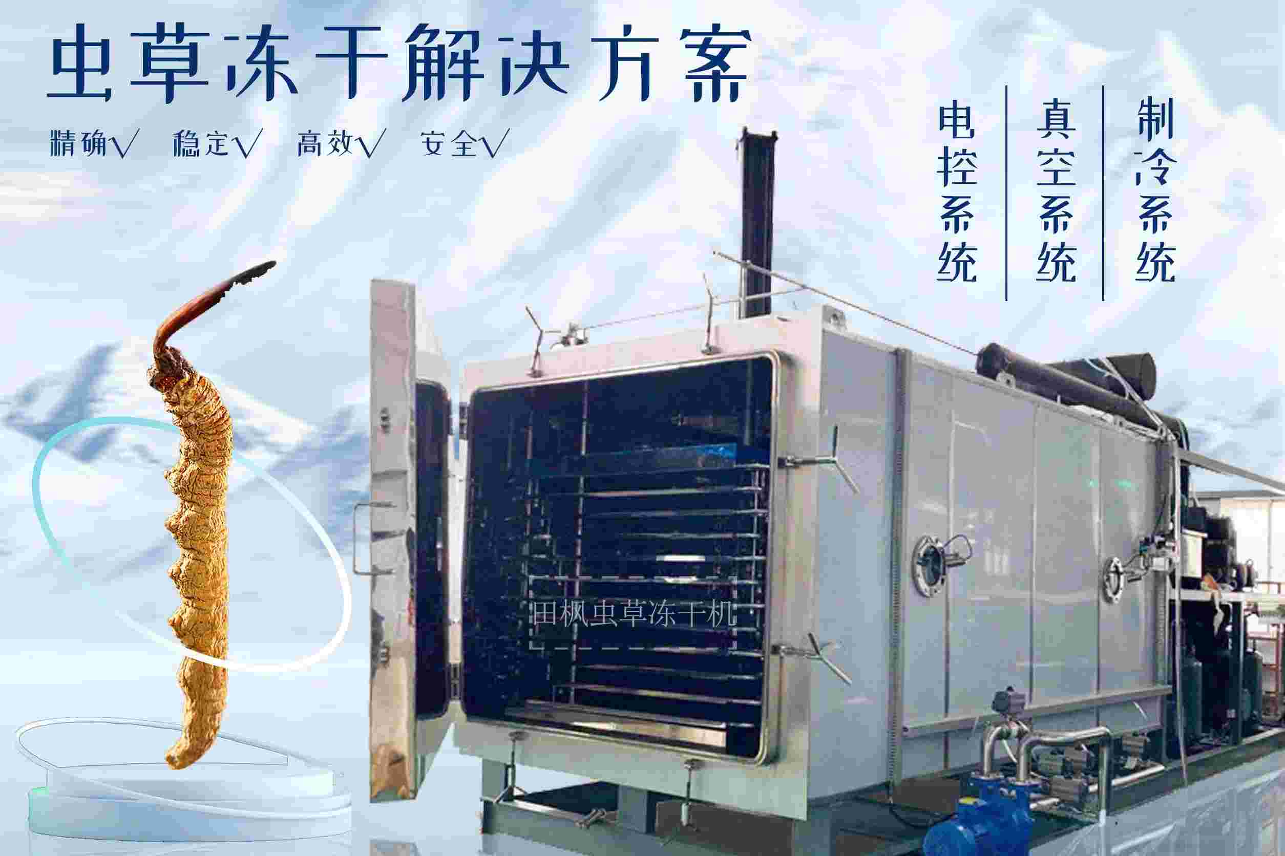 17213500238587.jpg 蟲2.jpg