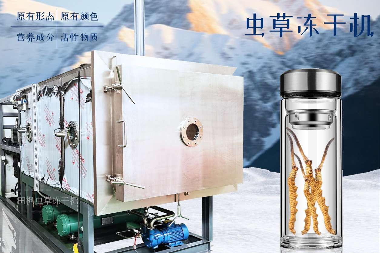 17213500302230.jpg 蟲3.jpg