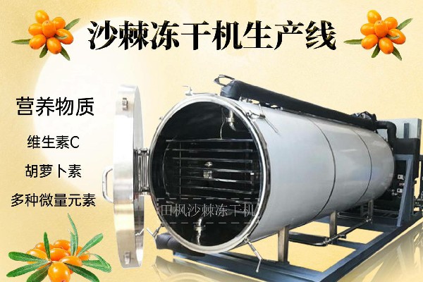 17223885061412.jpg 沙1~1.jpg