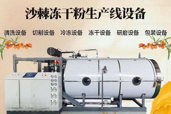 17223885187123.jpg 沙2~1.jpg