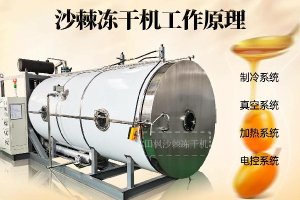 17223885291233.jpg 沙3~1.jpg